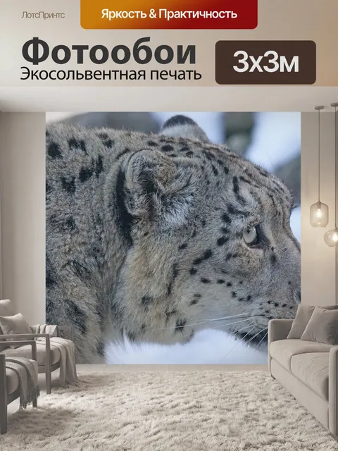 Фотообои Снежный барс