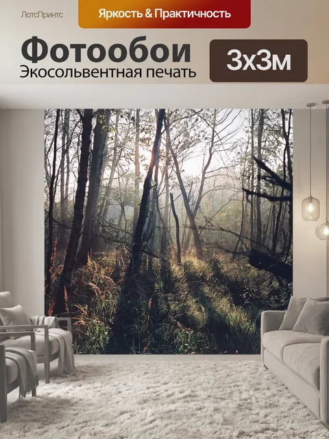 Фотообои Лес