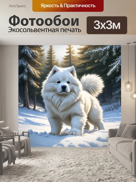 Фотообои зимнее утро, покрытое белым снегом, самоед играет в снежных сугробах, его пушистая шерсть сверкает на солнце