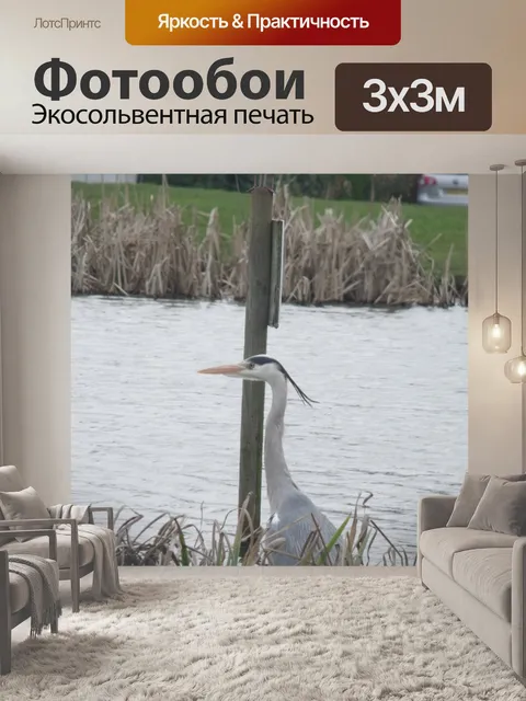 Фотообои Британские птицы сад - серая цапля