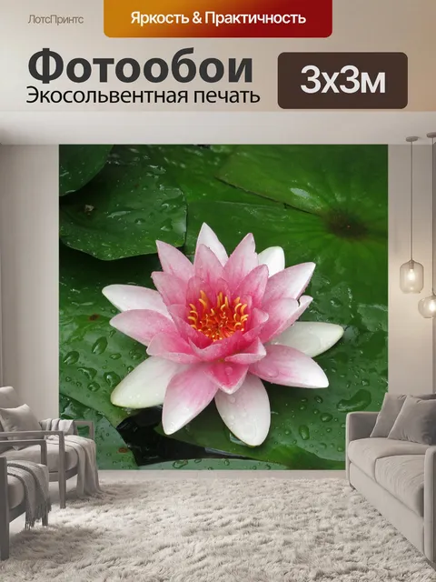 Фотообои Мюриц