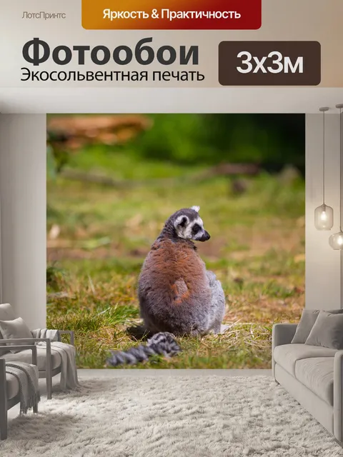 Фотообои Кошачий лемур