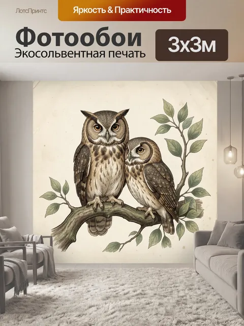 Фотообои Две совы на ветке