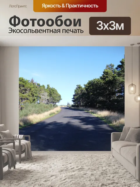 Фотообои Дорога в лес