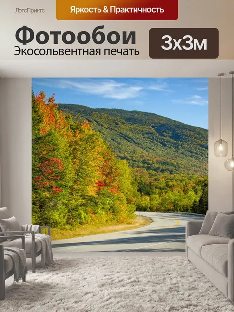 Фотообои Дорожные и осенние деревья