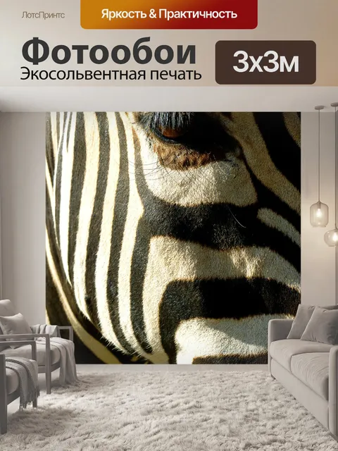Фотообои Зебра