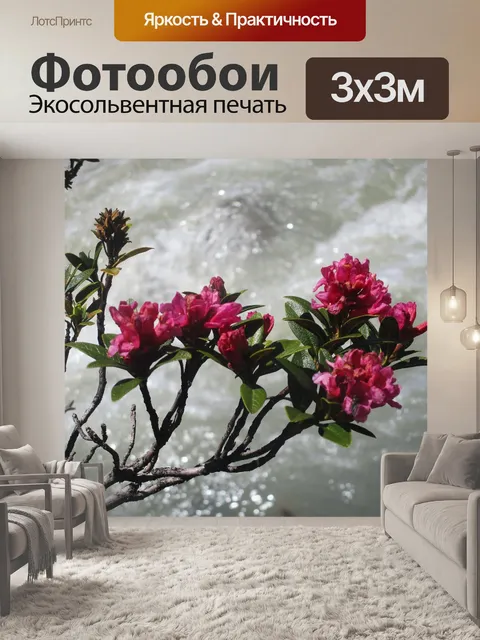 Фотообои Цветок
