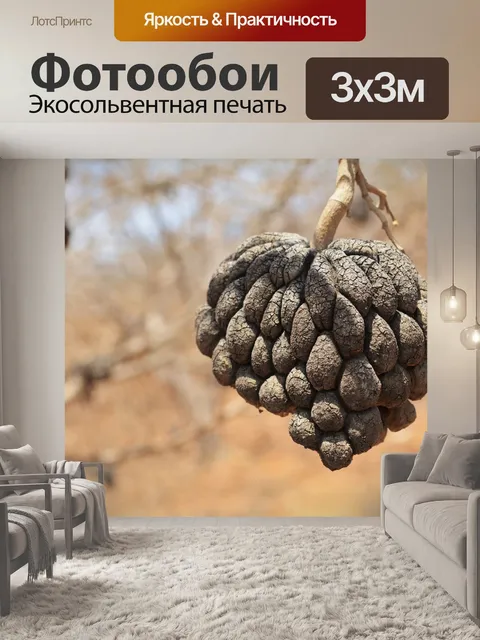 Фотообои Сосновая шишка