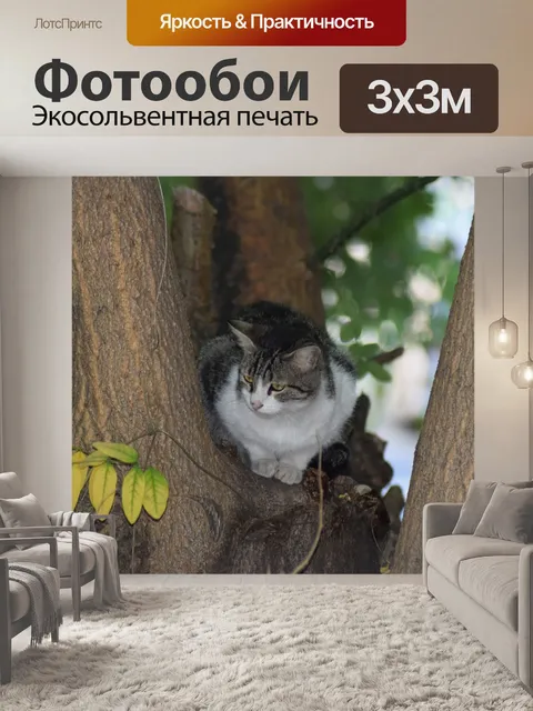 Фотообои Кошка