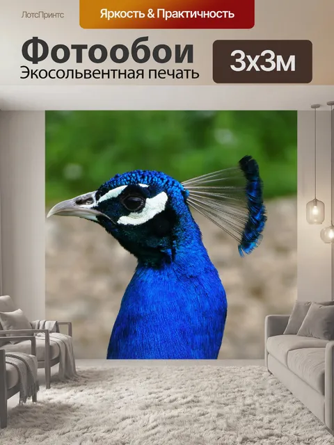 Фотообои Павлин