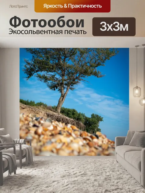 Фотообои Азовское море, дерево, корни