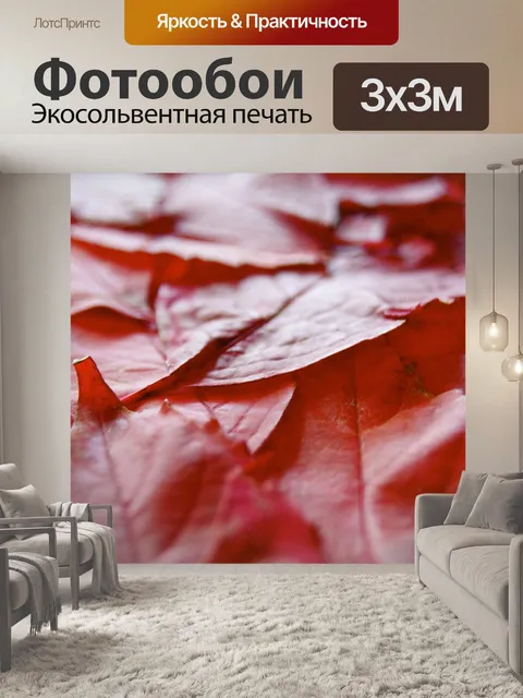 Фотообои Лист