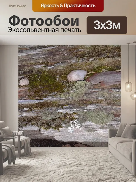 Фотообои Старое упавшее дерево с мхом