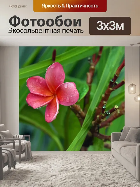 Фотообои Олеандр розовый дождь