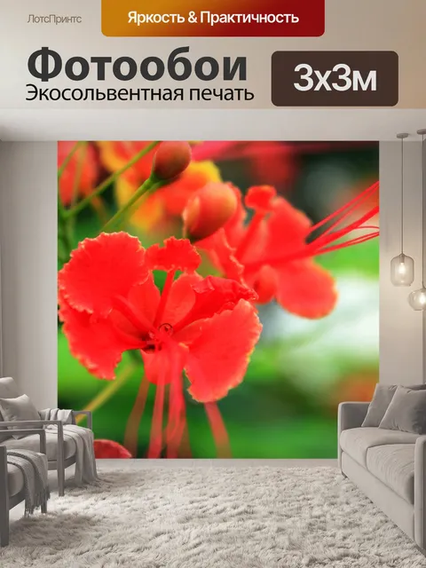 Фотообои Красные цветы