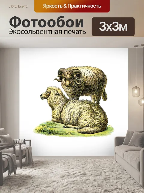 Фотообои Овцы старинные иллюстрации клипарт