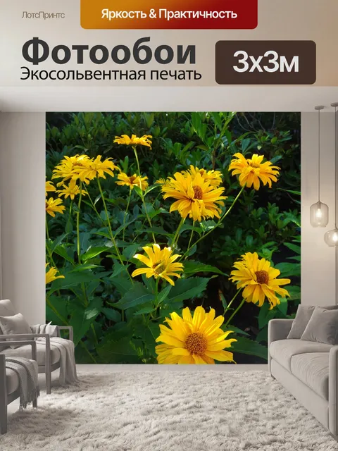 Фотообои Шляпа от солнца