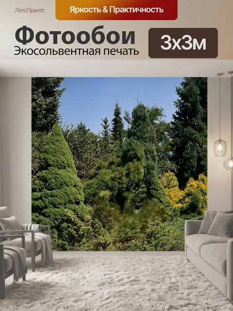 Фотообои Ботанический сад 3