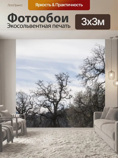 Фотообои Голые деревья