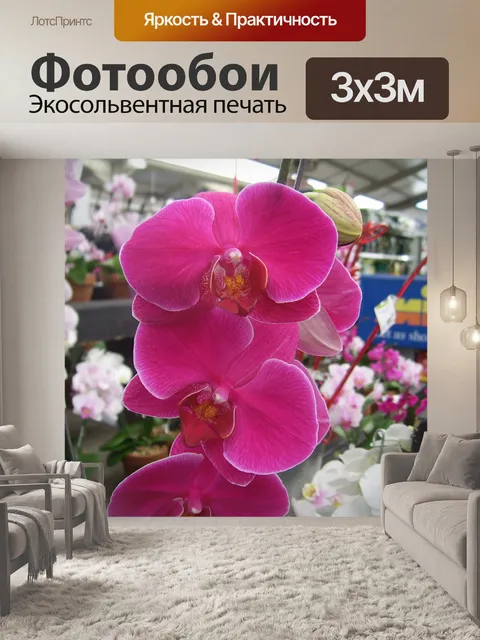 Фотообои Фиолетовая орхидея