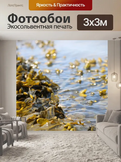 Фотообои Морские водоросли