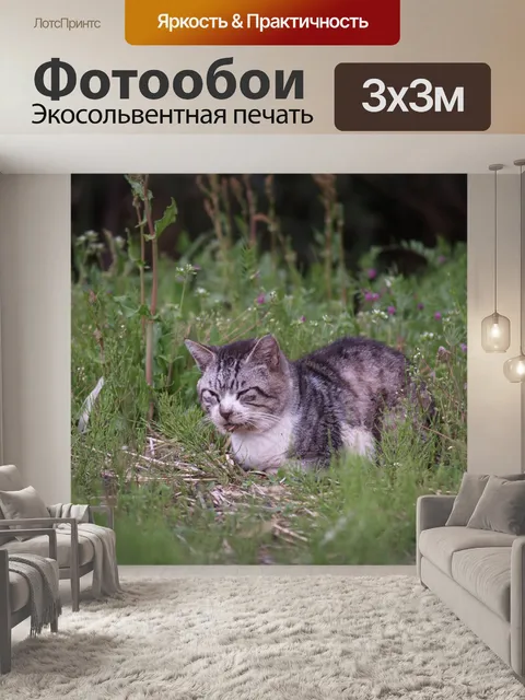 Фотообои Кошка