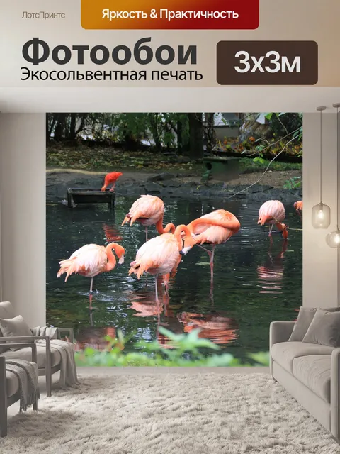 Фотообои Фламинго