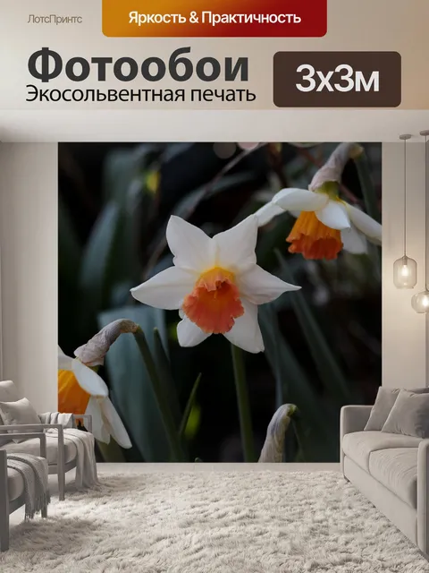 Фотообои Нарцисс пинк шарм