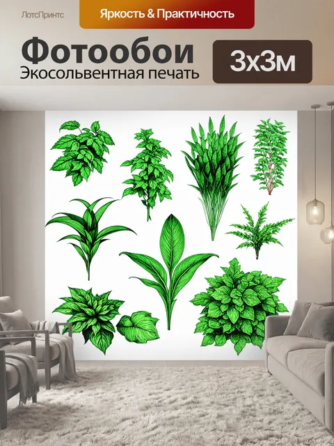 Фотообои зеленые в стиле рисунка карандашом, показывающие различные виды зелени с акцентом на текстуру и детали