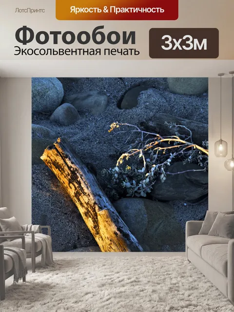 Фотообои Коряги и морских водорослей