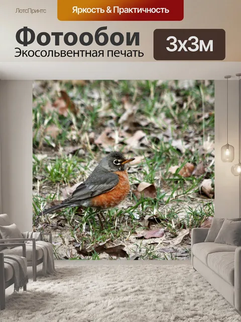 Фотообои Американский Робин в Листях