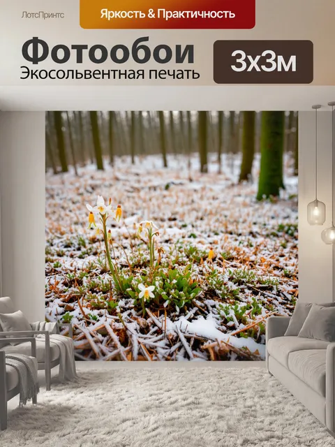 Фотообои бежевый лес весной, когда первые цветы пробиваются сквозь снег