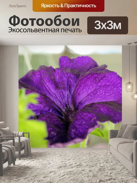 Фотообои Фиолетовый цветок 4