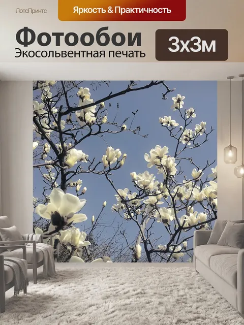 Фотообои Магнолия