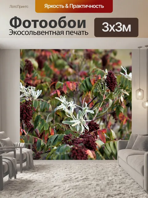 Фотообои Снег на горах Полевые цветы