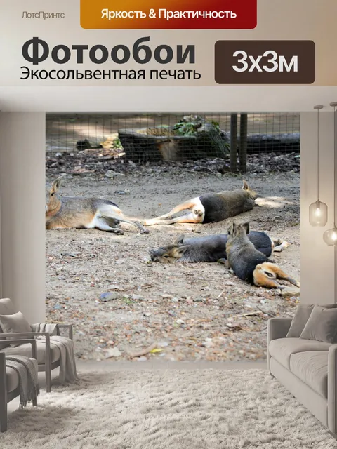 Фотообои Мара 03