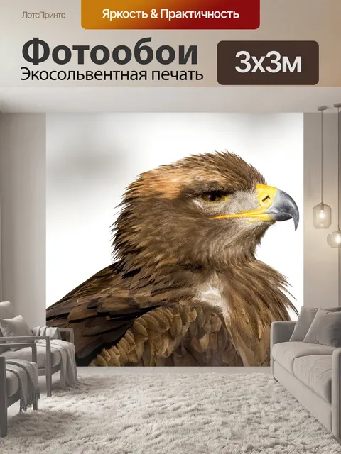Фотообои Хищная птица