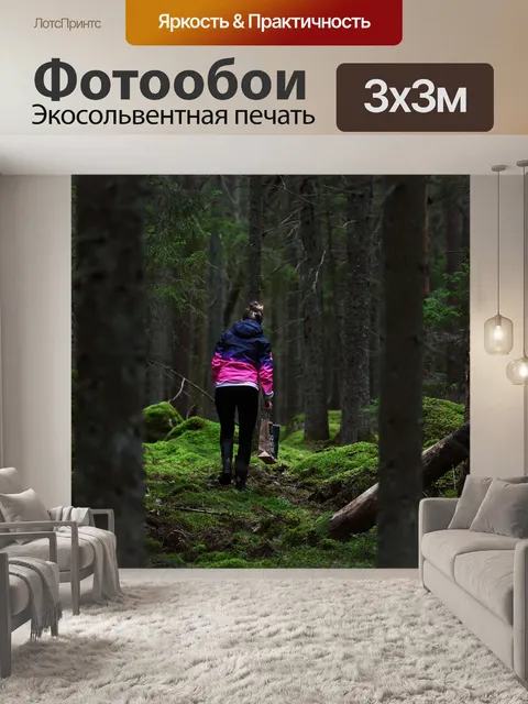 Фотообои Сбор грибов