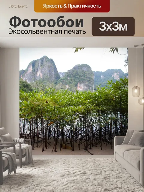 Фотообои Мангровые заросли