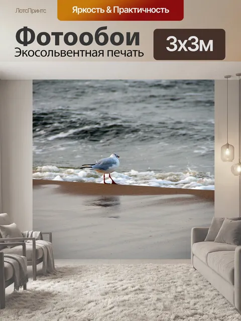 Фотообои Чайка