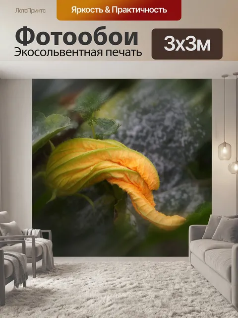 Фотообои Цветок