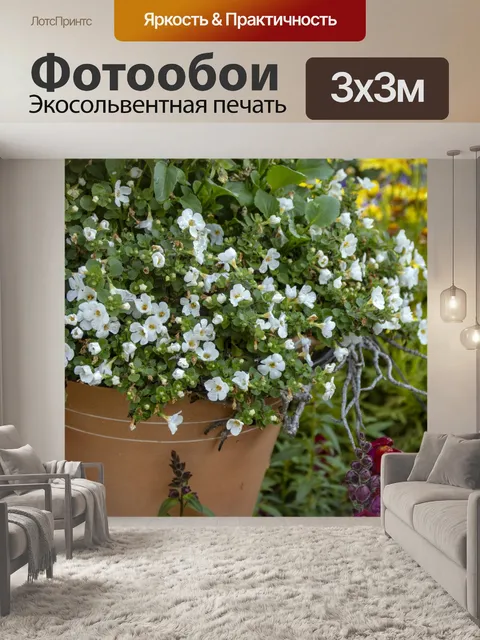 Фотообои Цветы в горшках