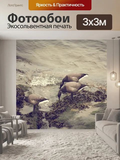 Фотообои Три диких гуся