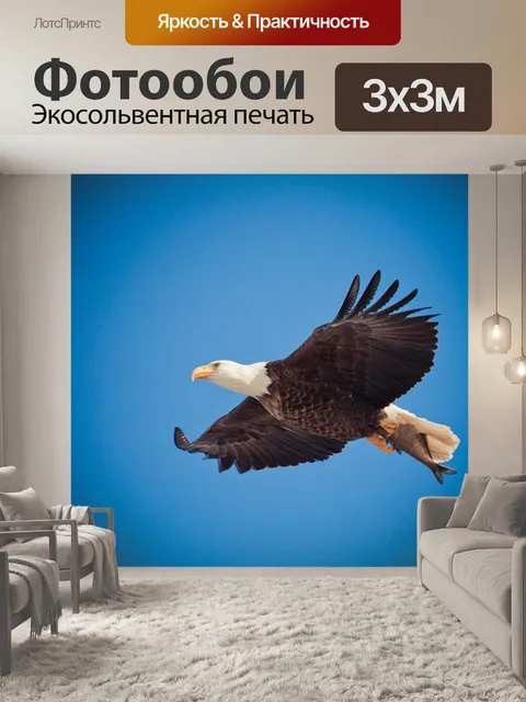 Фотообои Орел