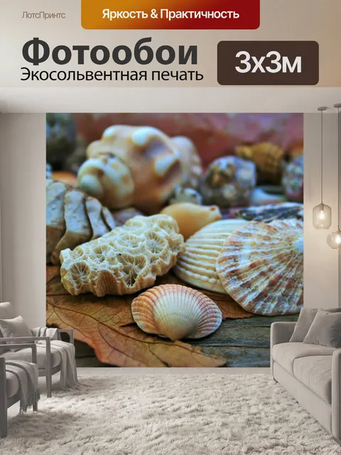 Фотообои моллюск корпуса и коралловые