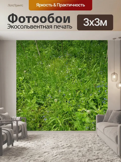 Фотообои Лес