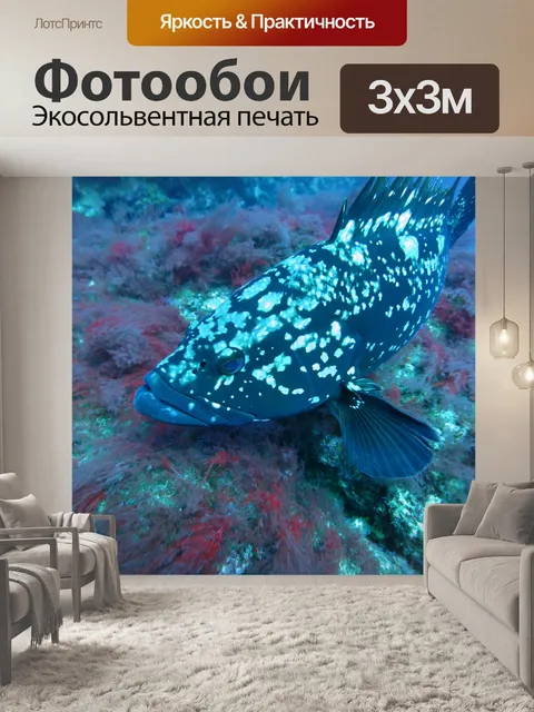 Фотообои Морской окунь