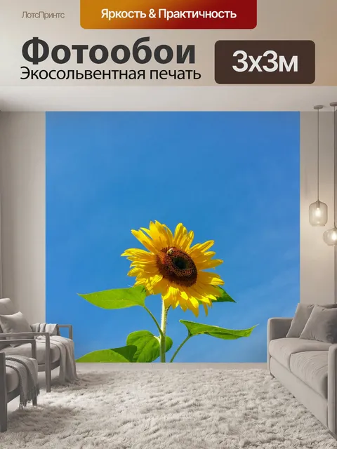 Фотообои Подсолнечное и голубое небо