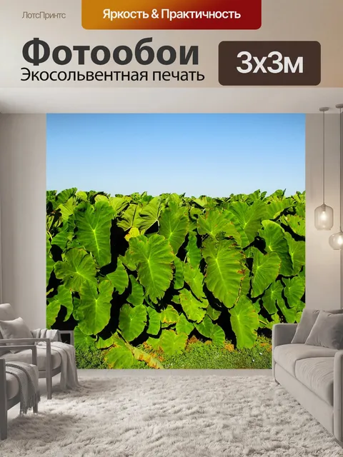 Фотообои Таро