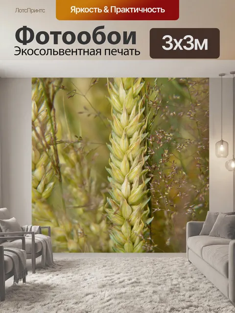 Фотообои Урожай